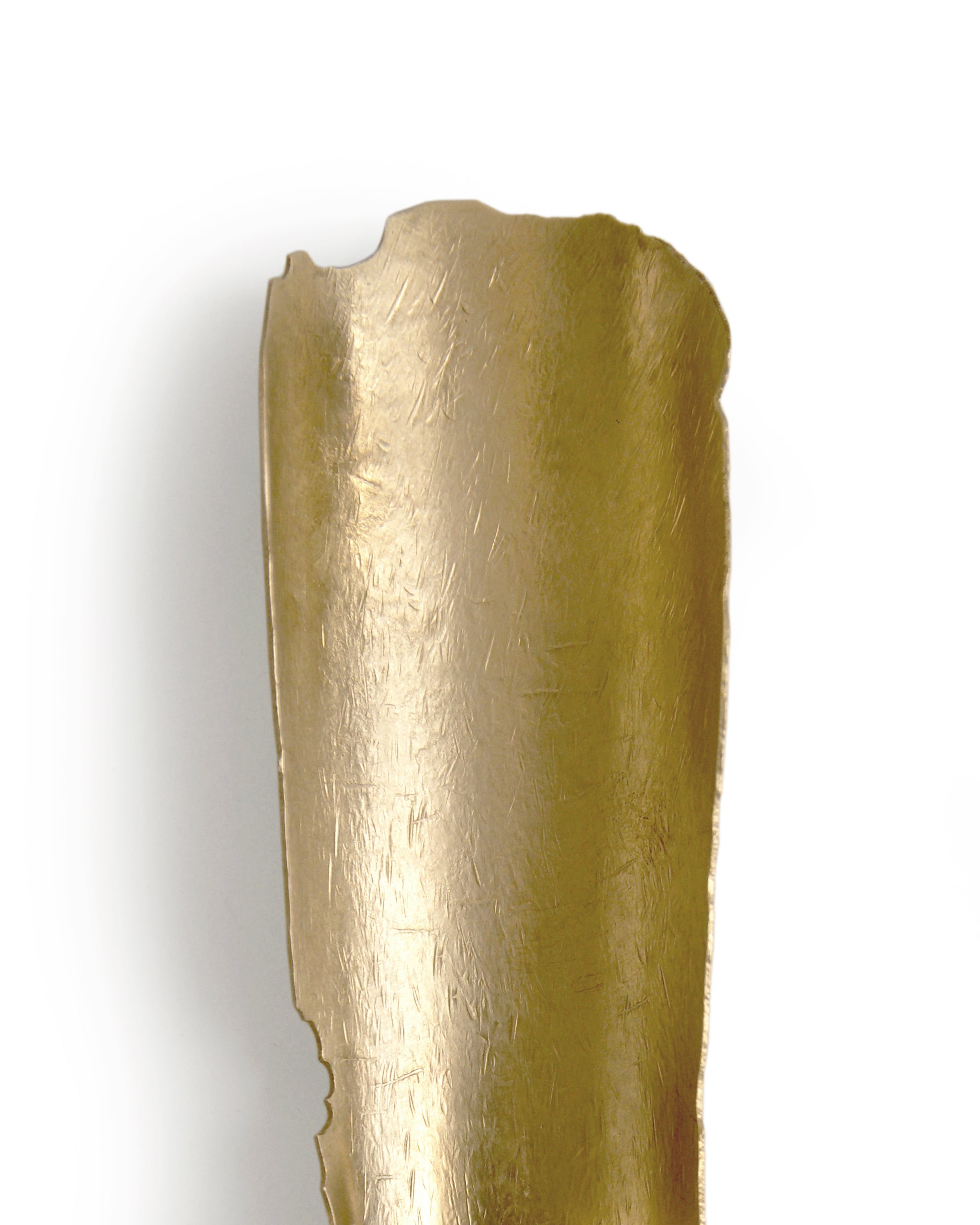 Hagakure Chasaji Tea Scoop (OUT OF STOCK)