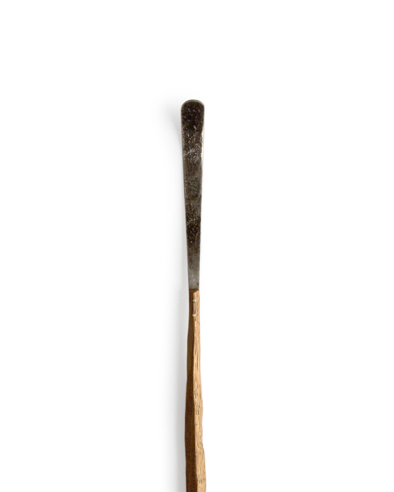 Oak Sprout Chashaku Tea Ladle - Straight