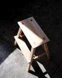 Step Stool