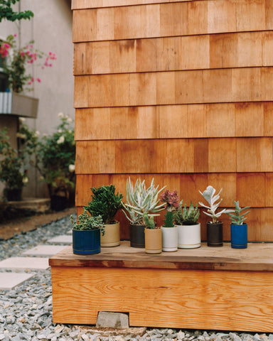 Planter Set - Small