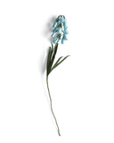 Paper Flower - Blue Muscari (OUT OF STOCK)