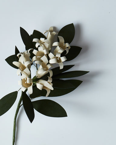 Paper Flower - White Jasmine (OUT OF STOCK)